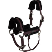 BR Capezzina AW25 Eevolv Jonne Raisin BR Capezzina AW25 Eevolv Jonne Raisin