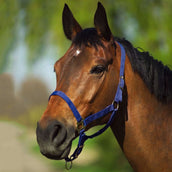 Riding World Capezzina Navy Riding World Capezzina Navy