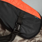 Back on Track Cappotto per Cane TRAKK Riflettente Arancia Back on Track Cappotto per Cane TRAKK Riflettente Arancia