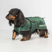 Back on Track Cappotto per Cane Buddy Verde Back on Track Cappotto per Cane Buddy Verde