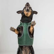 Back on Track Cappotto per Cane Buddy Verde Back on Track Cappotto per Cane Buddy Verde