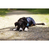 Back on Track Raffreddamento Blu Back on Track Raffreddamento Blu