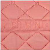 BR Sottosella Mini Horse Peach Blossom BR Sottosella Mini Horse Peach Blossom