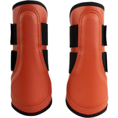 BR Parastinchi Karl Mecca Orange BR Parastinchi Karl Mecca Orange