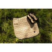 BR Stinchiere Kay Safari BR Stinchiere Kay Safari