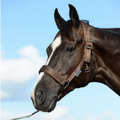 Bucas Capezzina Comfort Marrone Bucas Capezzina Comfort Marrone