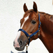 Bucas Capestro Dublin Foal Navy Bucas Capestro Dublin Foal Navy