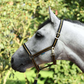 Bucas Capezzina Dublin Nero/Oro Bucas Capezzina Dublin Nero/Oro