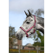 Bucas Capezzina Dublin Puledro Lampone Bucas Capezzina Dublin Puledro Lampone