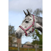 Bucas Capezzina Dublin Puledro Lampone Bucas Capezzina Dublin Puledro Lampone