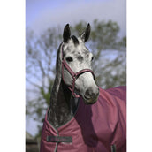 Bucas Capezzina Dublin Puledro Lampone Bucas Capezzina Dublin Puledro Lampone