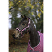 Bucas Capezzina Dublin Puledro Lampone Bucas Capezzina Dublin Puledro Lampone