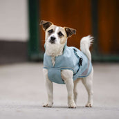 Bucas Freedom Dog Rug Turquoise Bucas Freedom Dog Rug Turquoise