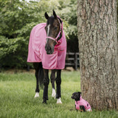 Bucas Freedom Fly Sheet Full Neck Aurora Pink Bucas Freedom Fly Sheet Full Neck Aurora Pink