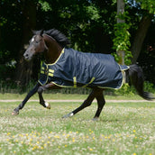 Bucas Oasis Turnout Neck 100g Dark Grey/Lime Bucas Oasis Turnout Neck 100g Dark Grey/Lime