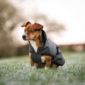 Bucas Dog Rug Reflectglow Reflectglow Bucas Dog Rug Reflectglow Reflectglow