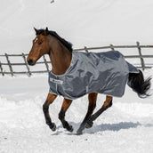 Bucas Smartex Medium Big Neck Iron Gate Bucas Smartex Medium Big Neck Iron Gate