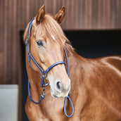 Catago Capezzina in Cuoio Navy Catago Capezzina in Cuoio Navy