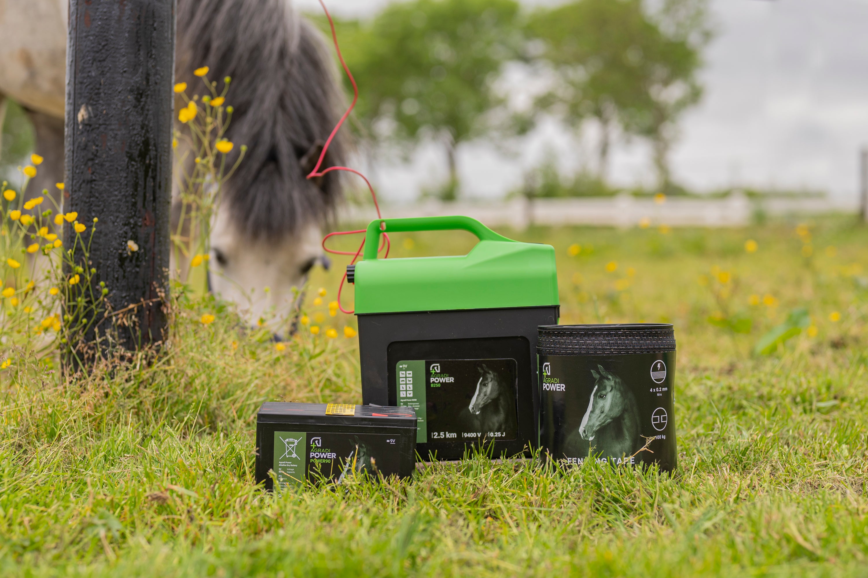 Recinzione Recinzione