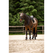 Cavallo Cuffietta CavalPerla Mocha Latte Cavallo Cuffietta CavalPerla Mocha Latte