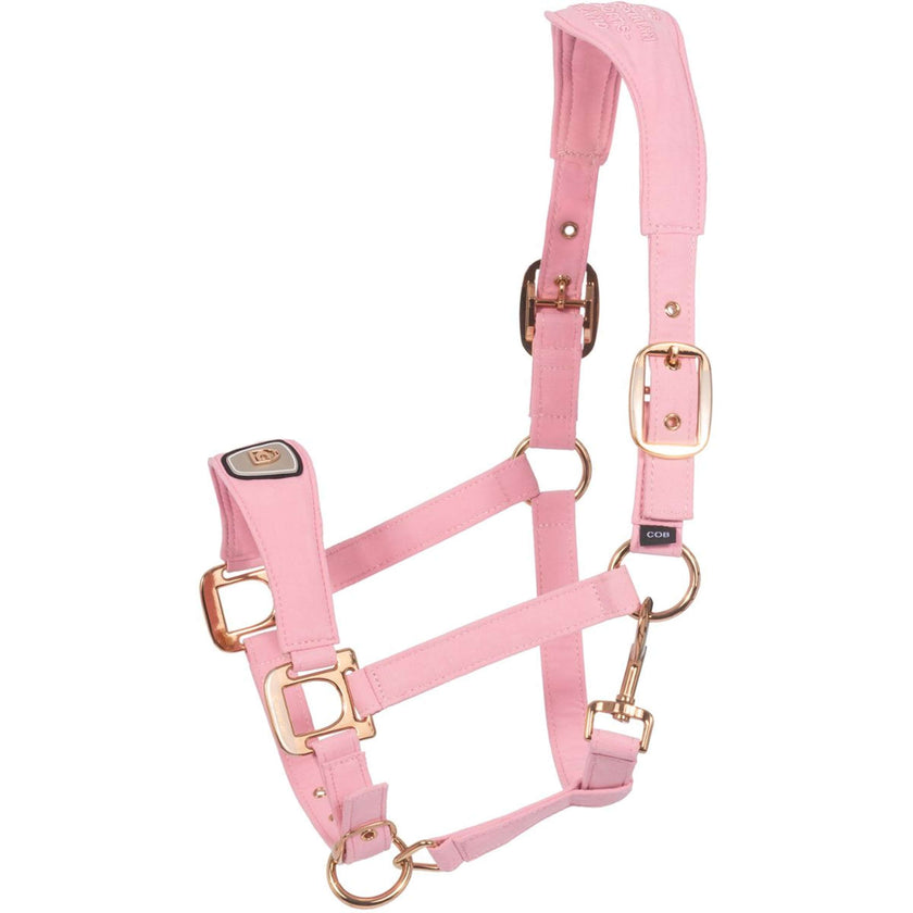 Cavallo Cavezza CavalPawel Powder Pink Cavallo Cavezza CavalPawel Powder Pink
