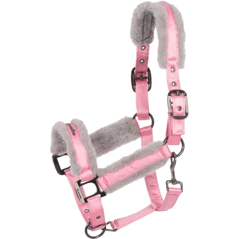 Cavallo Cavezza CavalJero Powder Pink Cavallo Cavezza CavalJero Powder Pink