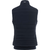 Cavallo Jack CavalBay Blu scuro Cavallo Jack CavalBay Blu scuro