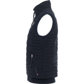Cavallo Jack CavalBay Blu scuro Cavallo Jack CavalBay Blu scuro