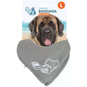 CoolPets Bandana Cooling Beige CoolPets Bandana Cooling Beige