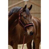 Covalliero Capezzina AW25 Riposo Covalliero Capezzina AW25 Riposo