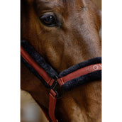 Covalliero Capezzina AW25 Riposo Covalliero Capezzina AW25 Riposo