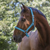 Norton Capezzina Fluo Blu Norton Capezzina Fluo Blu