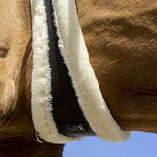 Norton Sottopancia XTR Mouton Synthétique Havana/Crème Norton Sottopancia XTR Mouton Synthétique Havana/Crème