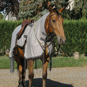 Riding World Coperta da equitazione anti-mosche Mesh Grigio Riding World Coperta da equitazione anti-mosche Mesh Grigio