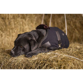 Diego & Louna Coperta per Cani Polar Nero Diego & Louna Coperta per Cani Polar Nero