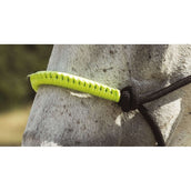 Norton Capestro e Lunghina Fun Colour Ethologisch Nero/Verde Neon Norton Capestro e Lunghina Fun Colour Ethologisch Nero/Verde Neon