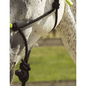 Norton Capestro e Lunghina Fun Colour Ethologisch Nero/Verde Neon Norton Capestro e Lunghina Fun Colour Ethologisch Nero/Verde Neon