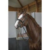 Pénélope Briglia Daily Avana/Cioccolato Pénélope Briglia Daily Avana/Cioccolato