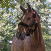 Norton Capezzina Nero/Rosso Norton Capezzina Nero/Rosso