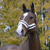 Norton Capezzina Confort Nero Norton Capezzina Confort Nero