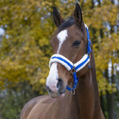 Norton Capezzina Confort Blu brillante Norton Capezzina Confort Blu brillante