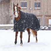 Riding World Tappeto da Esterno Oxford 220g Nero Riding World Tappeto da Esterno Oxford 220g Nero