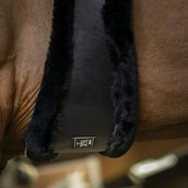 Norton Sottopancia XTR Nero Norton Sottopancia XTR Nero