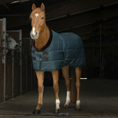 EQUITHÈME Coperta da scuderia Teddy Verde/Marrone EQUITHÈME Coperta da scuderia Teddy Verde/Marrone