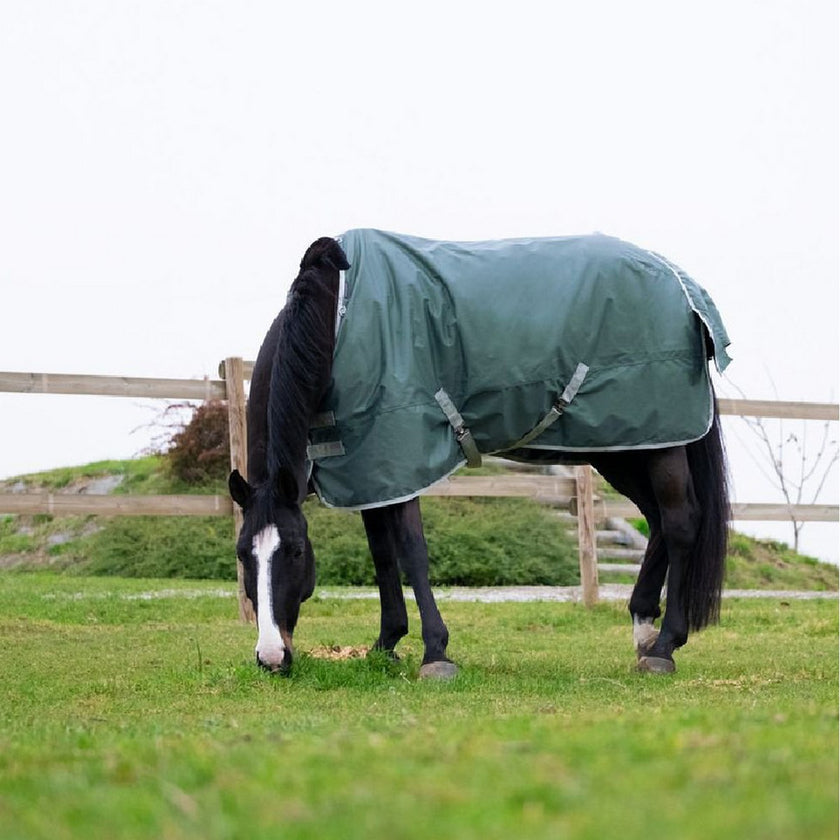 EQUITHÈME Tappeto da Esterno Tyrex 600D 150g Verde EQUITHÈME Tappeto da Esterno Tyrex 600D 150g Verde