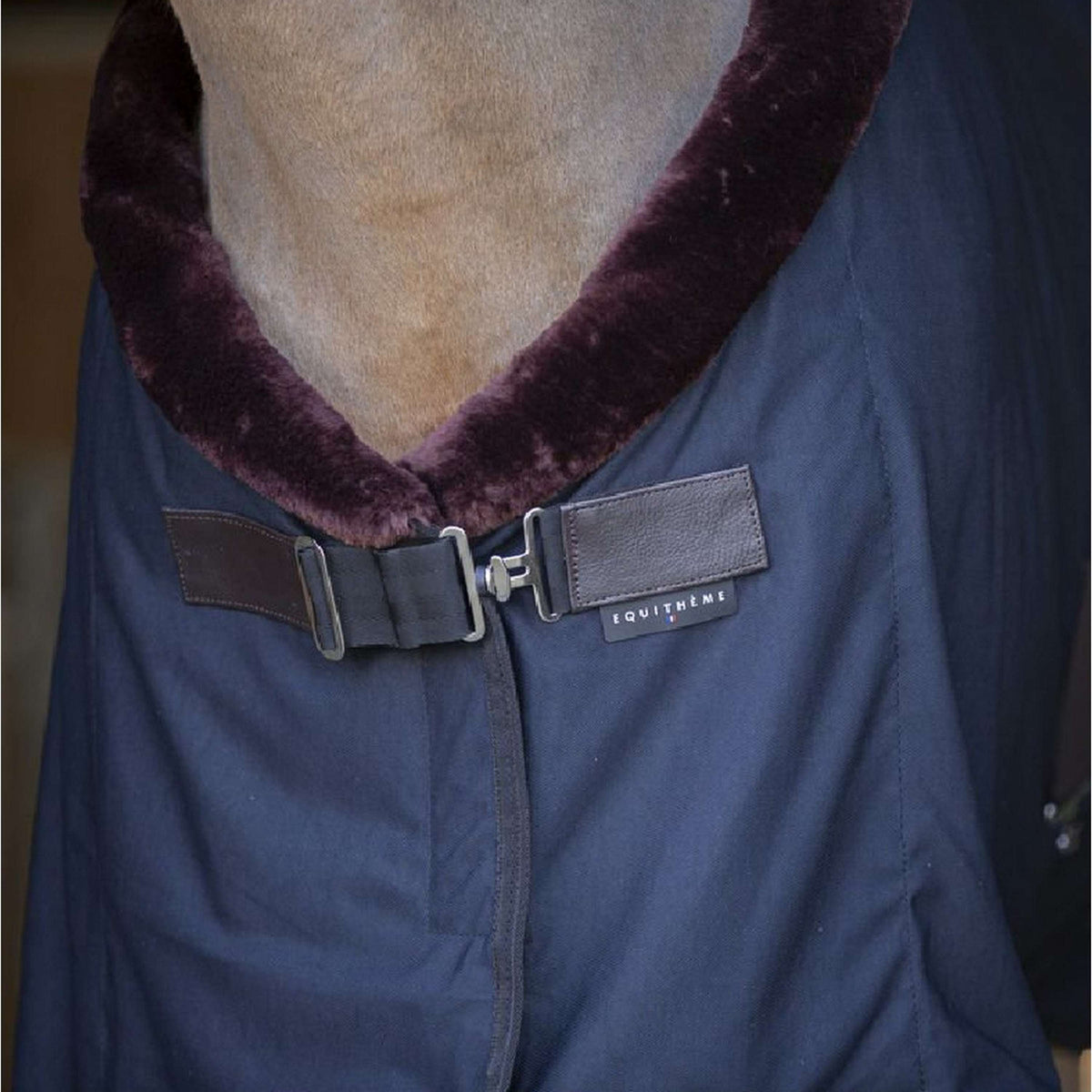 EQUITHÈME Cooler Teddy Nero/Marrone EQUITHÈME Cooler Teddy Nero/Marrone