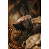 Eric Thomas Briglia Work L'Avana Eric Thomas Briglia Work L'Avana