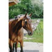 Norton Briglia Freedom L'Avana Norton Briglia Freedom L'Avana