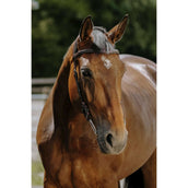 Norton Briglia Freedom L'Avana Norton Briglia Freedom L'Avana