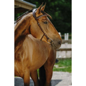 Norton Briglia Freedom L'Avana Norton Briglia Freedom L'Avana